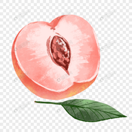 WWW,se770·COM网站APPAPP应用