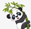 乐播视频下载官方版APP应用