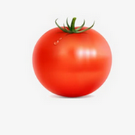 黄色视频软件免费下载APP应用